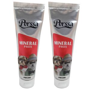خمیر مینرال سگ پرسا مدل mineral paste وزن 100 گرم بسته 2 عددی